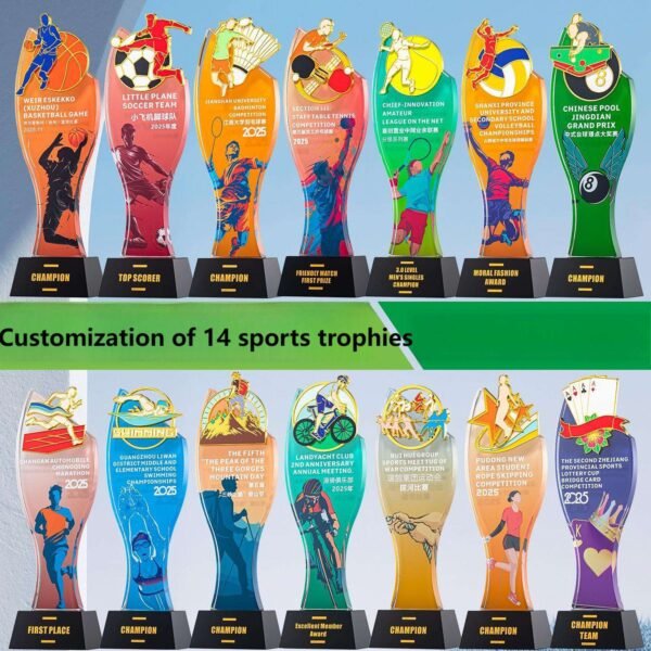 VM Award - Image 3