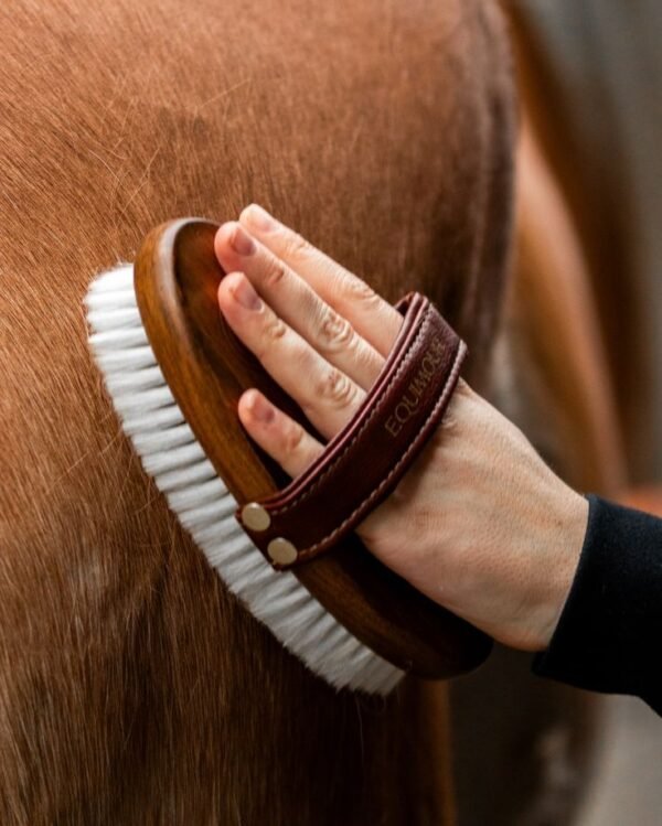 VM Horse Brush