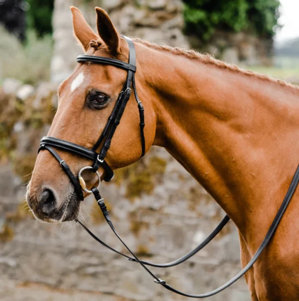 VM Horse Bridle