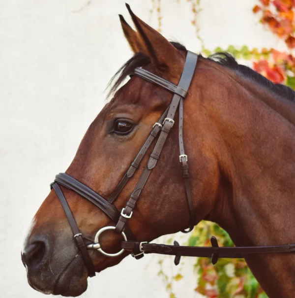 VM Horse Bridle - Image 2