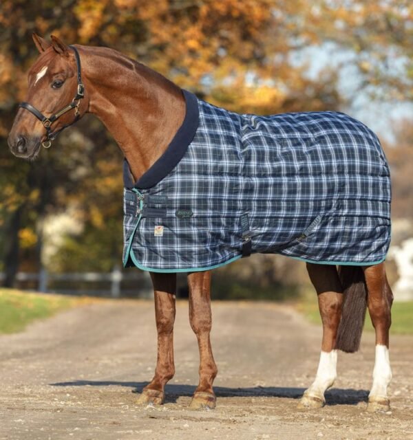 VM Horse Blanket